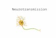 Neurotransmission. Using one or more examples, explain effects of neurotransmission on human behavior
