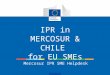 IPR in MERCOSUR & CHILE for EU SMEs Mercosur IPR SME Helpdesk