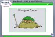 1 of 10© Boardworks Ltd 2009. 2 of 10© Boardworks Ltd 2009 Why is nitrogen so important? Nitrogen is essential for growth because it is used by plants
