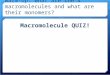Warm-Up: What are the 4 macromolecules and what are their monomers? Macromolecule QUIZ!