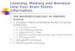 Learning, Memory and Amnesia: How Your Brain Stores Information THE NEUROPSYCHOLOGY OF MEMORY Outline 1. Amnesic Effects of Bilateral Medial Temporal Lobectomy
