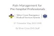 Pain Management for Pre-hospital Professionals 2 nd Trimester May 2011 CME By Silver Cross EMS Staff