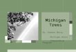 Michigan Trees By: Andrea Berry Michigan Water Stewardship Program