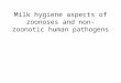 Milk hygiene aspects of zoonoses and non-zoonotic human pathogens