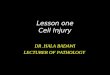 Lesson one Cell Injury DR.HALA BADAWI LECTURER OF PATHOLOGY