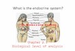 The Endocrine System Chapter 2.1 Biological level of analysis