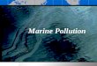 Marine Pollution. Pollution in coastal waters Coastal waters are highly affected by pollution because they are: Heavily used Close to sources of pollution