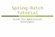 Spring-Batch Tutorial Guide for Application Developers