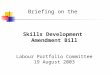 Briefing on the Skills Development Amendment Bill Labour Portfolio Committee 19 August 2003