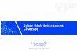 Cyber Risk Enhancement Coverage. Cyber security breaches are now a painful reality for virtually every type of organization and at every level of those