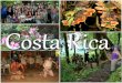 The Culture of. Why I chose Costa Rica I thought by researching Costa Rica, I could better understand my mother and learn more about my background