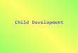 Child Development. 10 Things Every Child Needs Interaction Stable Relationships Safe, Healthy Environment Play Music Self-esteem Quality Child Care Communication