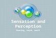 Sensation and Perception Hearing, touch, smell. Hearing