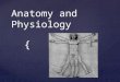 { Anatomy and Physiology. Root Words Find definition, study for quiz on Friday Append- Cardi- Cran- Dors- Homeo- -logy Meta- Pariet- Pelv- Peri- Pleur-