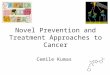 Novel Prevention and Treatment Approaches to Cancer Cemile Kumas