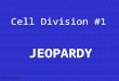 Cell Division #1 JEOPARDY S2C06 Jeopardy Review What Phase Is it? Vocabulary Cell Division Picture ID More Vocab 100 200 300 400 500