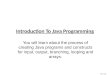 James Tam Introduction To Java Programming You will learn about the process of creating Java programs and constructs for input, output, branching, looping