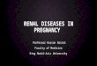 RENAL DISEASES IN PREGNANCY Professor Hassan Nasrat Faculty of Medicine King Abdul-Aziz University