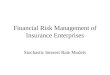 Financial Risk Management of Insurance Enterprises Stochastic Interest Rate Models
