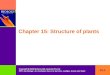 15-1 Copyright  2005 McGraw-Hill Australia Pty Ltd PPTs t/a Biology: An Australian focus 3e by Knox, Ladiges, Evans and Saint Chapter 15: Structure of