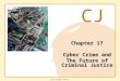 CJ © 2011 Cengage Learning Chapter 17 Cyber Crime and The Future of Criminal Justice