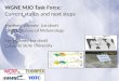 WGNE MJO Task Force: Current status and next steps Matthew Wheeler (co-chair) CAWCR/Bureau of Meteorology Eric Maloney (co-chair) Colorado State University
