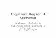 Inguinal Region & Secrotum Abdomen, Pelvis & Perineum Unit Lecture 2 د. حيدر جليل الأعسم