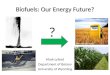 Biofuels: Our Energy Future? Mark Lyford Department of Botany University of Wyoming ?
