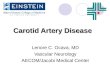 Carotid Artery Disease Lenore C. Ocava, MD Vascular Neurology AECOM/Jacobi Medical Center