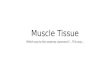 Muscle Tissue Which way to the anatomy classroom?... This way…