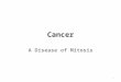 Cancer A Disease of Mitosis 1. Cancer: a Disease of Mitosis Cancer is a disease of mitosis – resulting in uncontrollable mitotic division. Cells do not