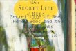 Secret Life of Bees: Honey Bees and the Boatwrights By Jake Reinartz 5 th hour English 11C Hoffman