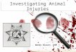Investigating Animal Injuries Wendy Blount, DVM. Exam Handouts Intake Exam Form Body Scoring –Small animal –Horse Fecal Scoring Tufts Scales