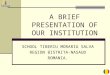 A BRIEF PRESENTATION OF OUR INSTITUTION SCHOOL TIBERIU MORARIU SALVA REGION BISTRITA-NASAUD ROMANIA