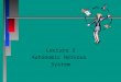 Lecture 3 Autonomic Nervous System. Chapter 20 Autonomic Nervous System n n Central Nervous System (CNS) - Brain and spinal cord n n Peripheral Nervous