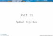 Unit 35 Spinal Injuries. Overview Spinal column instability Mechanism of injury Types of spinal cord injuries Signs and symptoms of spinal injury Manual