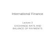 International Finance Lecture 3 EXCHANGE RATE AND BALANCE OF PAYMENTS