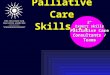2° Expert skills Palliative Care Consultants / Teams Palliative Care Skills