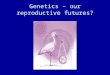 Genetics – our reproductive futures?. Art Work by Gena Glover, former artist in residence, Genetics Unit Guy’s Hospital, London