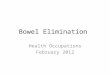 Bowel Elimination Health Occupations February 2012