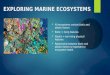 EXPLORING MARINE ECOSYSTEMS  All ecosystems contain biotic and abiotic factors  Biotic = living features  Abiotic = non-living physical features  Relationship