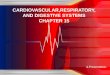 A Presentation CARDIOVASCULAR,RESPIRATORY, AND DIGESTIVE SYSTEMS CHAPTER 15