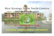 Rice Strategy in the North Eastern Hill (NEH) Region Dr. M. Rohinikumar Singh Director of Research CENTRAL AGRICULTURAL UNIVERSITY Imphal, Manipur