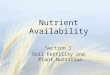 Nutrient Availability Section I Soil Fertility and Plant Nutrition