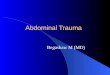 Abdominal Trauma Begashaw M (MD). Anatomy Abdominal Trauma  Two mechanisms _Blunt  usually causes solid organ injury (spleen injury is most common)