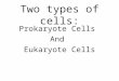 Two types of cells: Prokaryote Cells And Eukaryote Cells