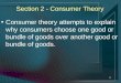 1 Section 2 - Consumer Theory Consumer theory attempts to explain why consumers choose one good or bundle of goods over another good or bundle of goods