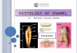 HISTOLOGY OF ENAMEL Dr. Shahzadi Tayyaba Hashmi. INTRODUCTION Enamel is a highly mineralized structure covering the anatomic crown of tooth It is the
