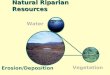 Natural Riparian Resources Erosion/Deposition Water Vegetation