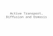 Active Transport, Diffusion and Osmosis. Passive Transport by Diffusion Diffusion is the movement of molecules from an area of high concentration to an